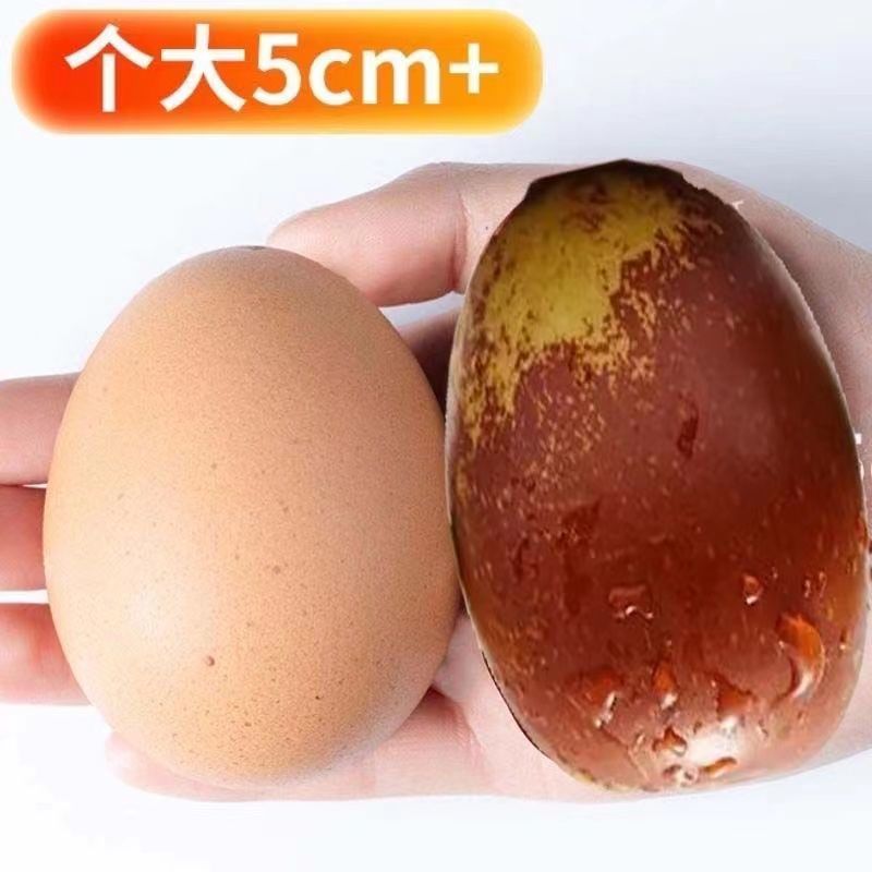冰糖脆枣苗冬枣树苗沾化冬枣树苗冬枣三代树苗南方北方种植