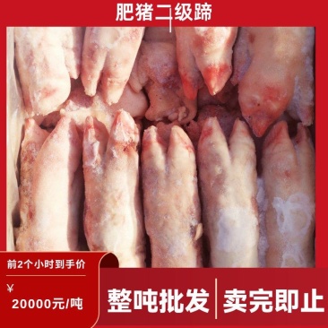 哈尔滨精品肥猪二级猪蹄c蹄，仓储直发，尾货处理，欢迎选购