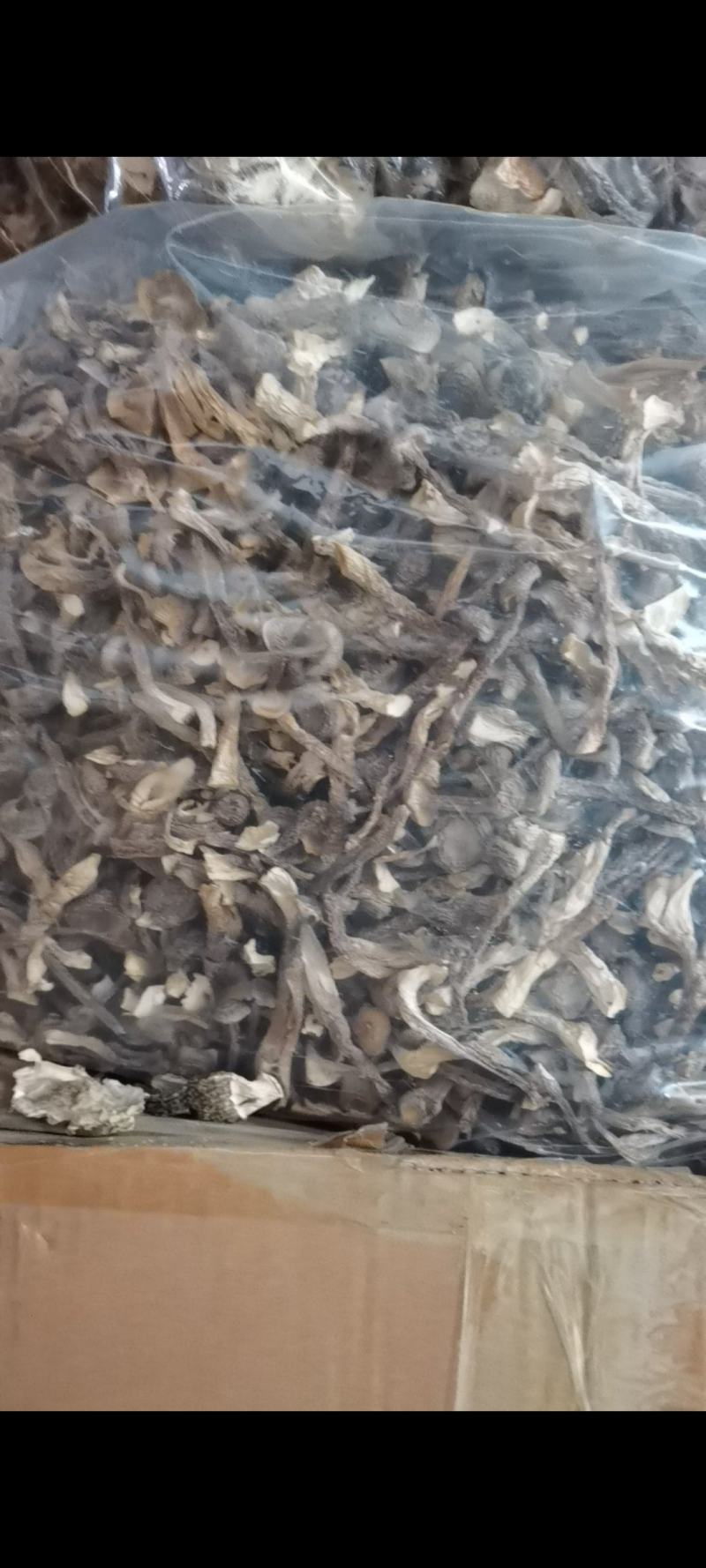 鹿茸菇干货好货批发产地一手货源本店经营各种野生菌产地批发