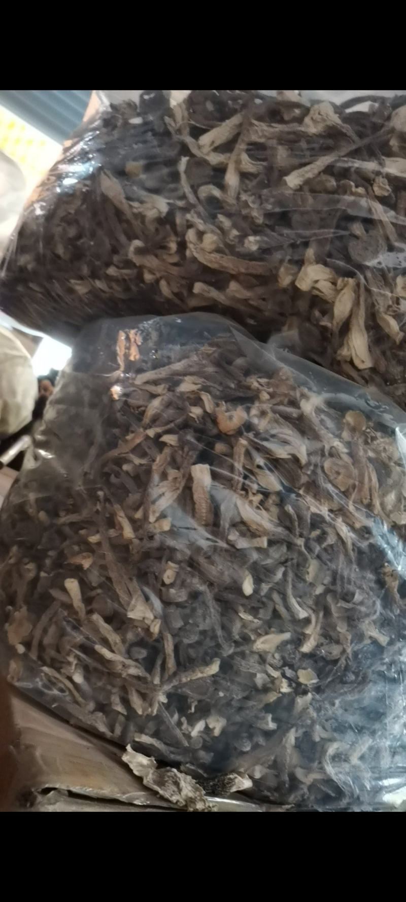 鹿茸菇干货好货批发产地一手货源本店经营各种野生菌产地批发