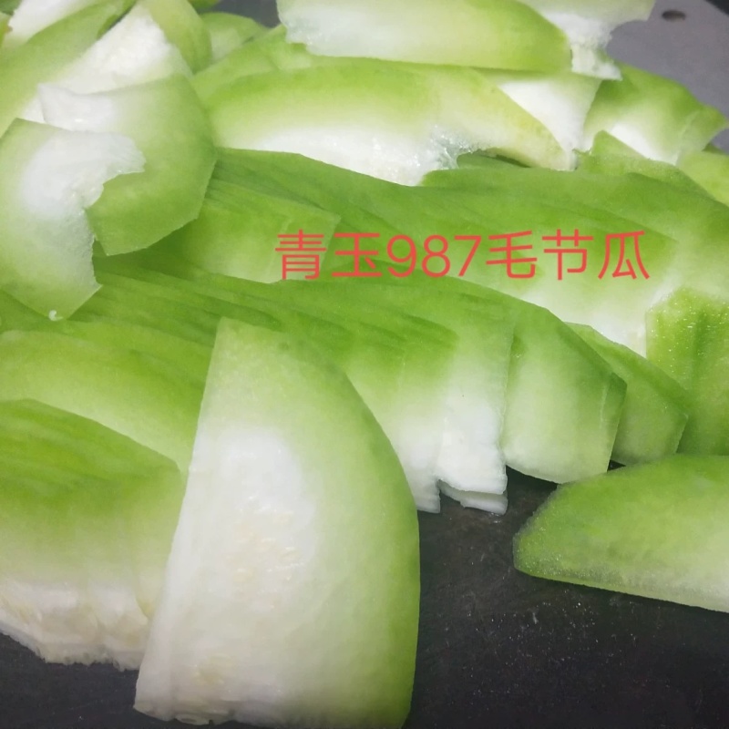 青玉987甜节瓜极早熟耐寒性好头尾匀称绿皮