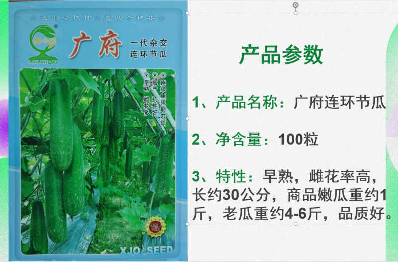 广府连环节瓜早熟绿皮带星点肉紧致雌花率高