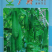 广府连环节瓜早熟绿皮带星点肉紧致雌花率高