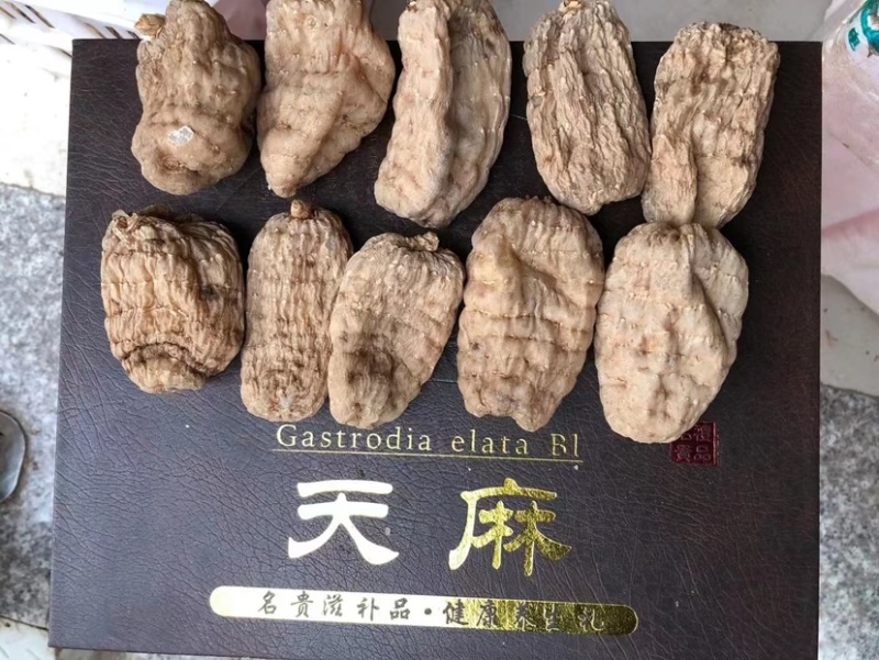 马边高山干天麻，品质保证，价格真实，欢迎选购