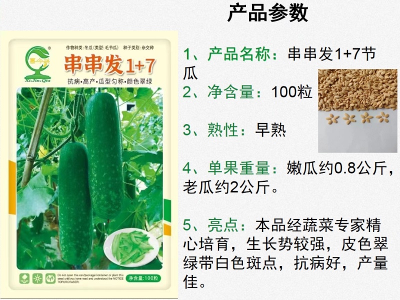 串串发1+7节瓜早熟新一代耐热绿皮甜节瓜