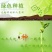 粉长节瓜优质杂交品种早熟上粉快结瓜率多