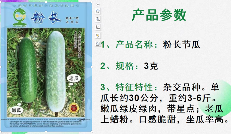 粉长节瓜优质杂交品种早熟上粉快结瓜率多