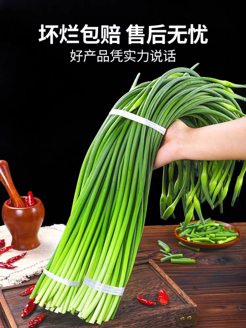 红帽蒜苔白帽蒜苔品质好量大从优支持打款发货