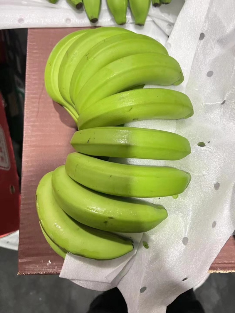 精品特价二级蕉，只做好品质，需要的老板抓紧联系