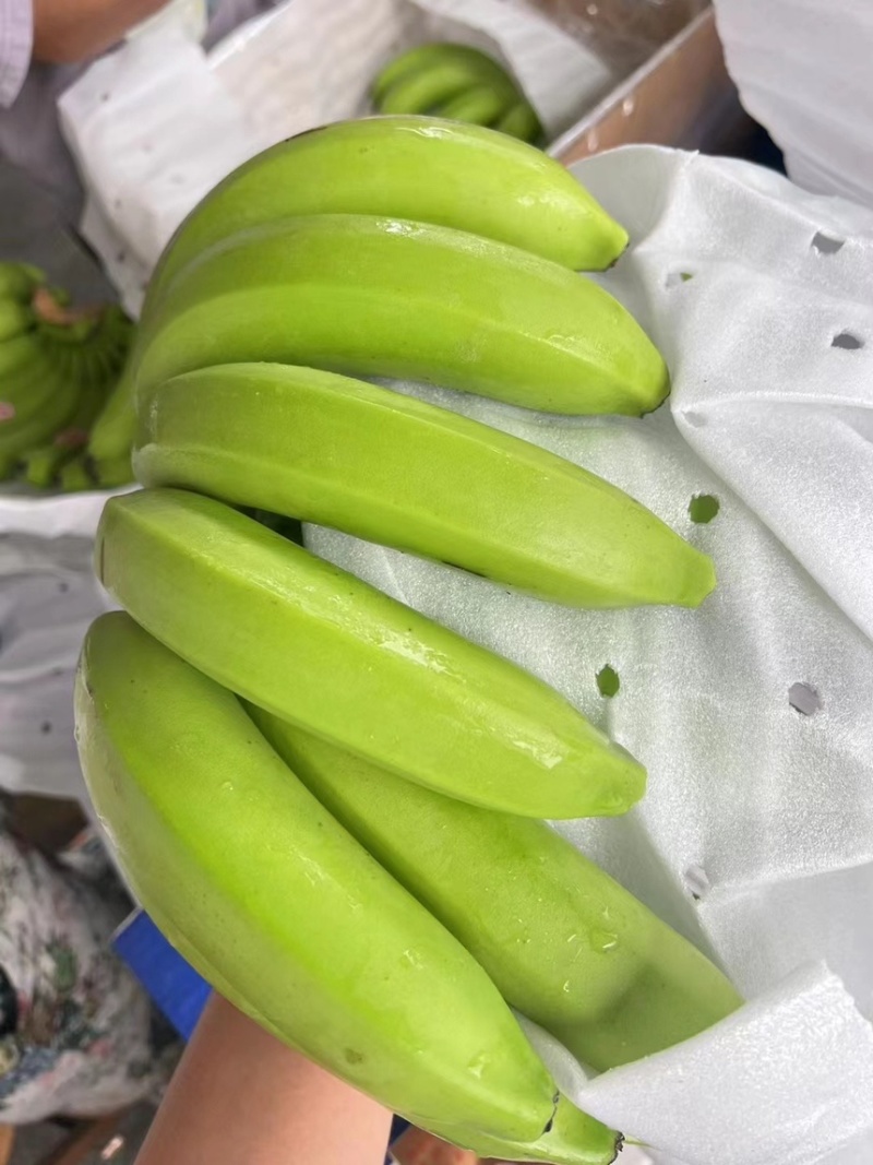 精品特价二级蕉，只做好品质，需要的老板抓紧联系