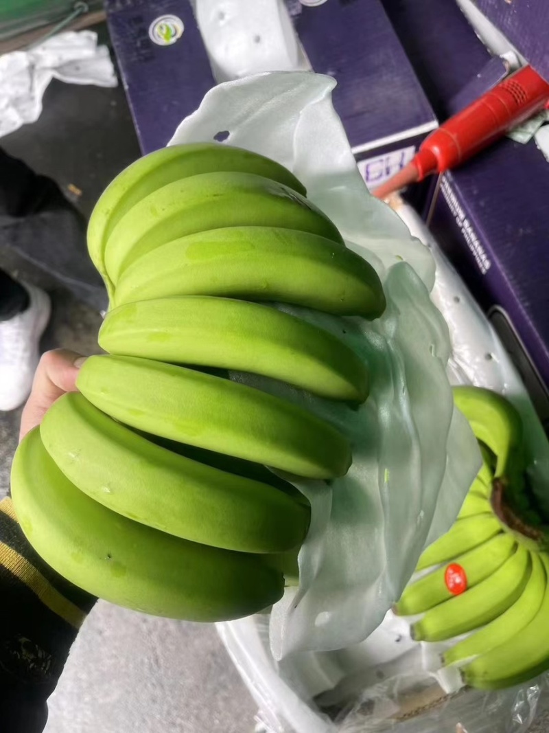 精品特价二级蕉，只做好品质，需要的老板抓紧联系