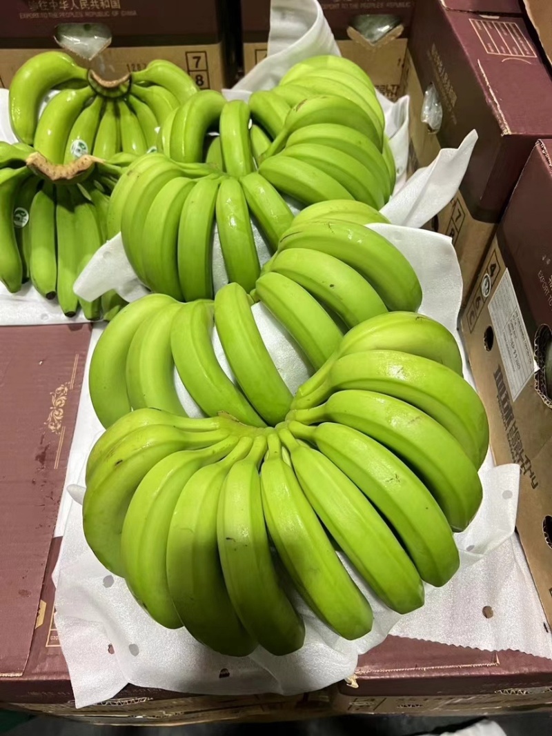 精品特价二级蕉，只做好品质，需要的老板抓紧联系