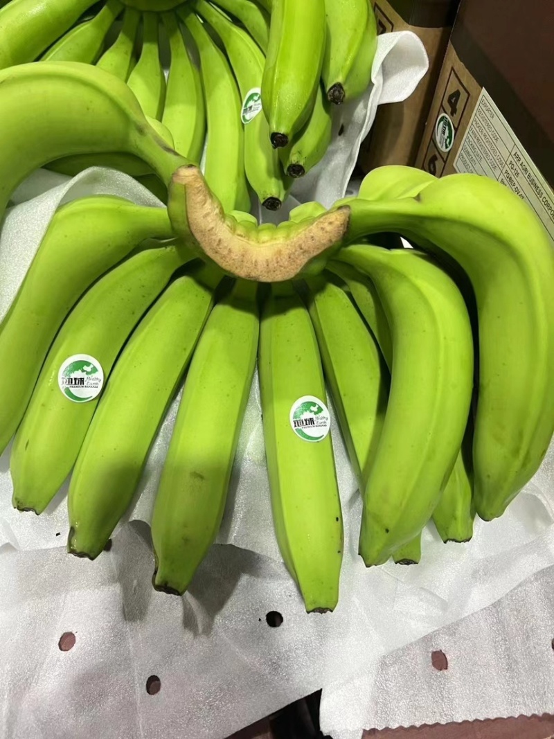 精品特价二级蕉，只做好品质，需要的老板抓紧联系
