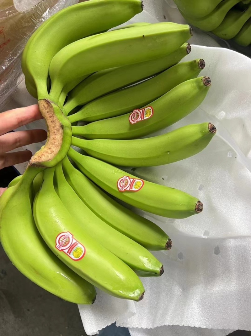 精品特价二级蕉，只做好品质，需要的老板抓紧联系