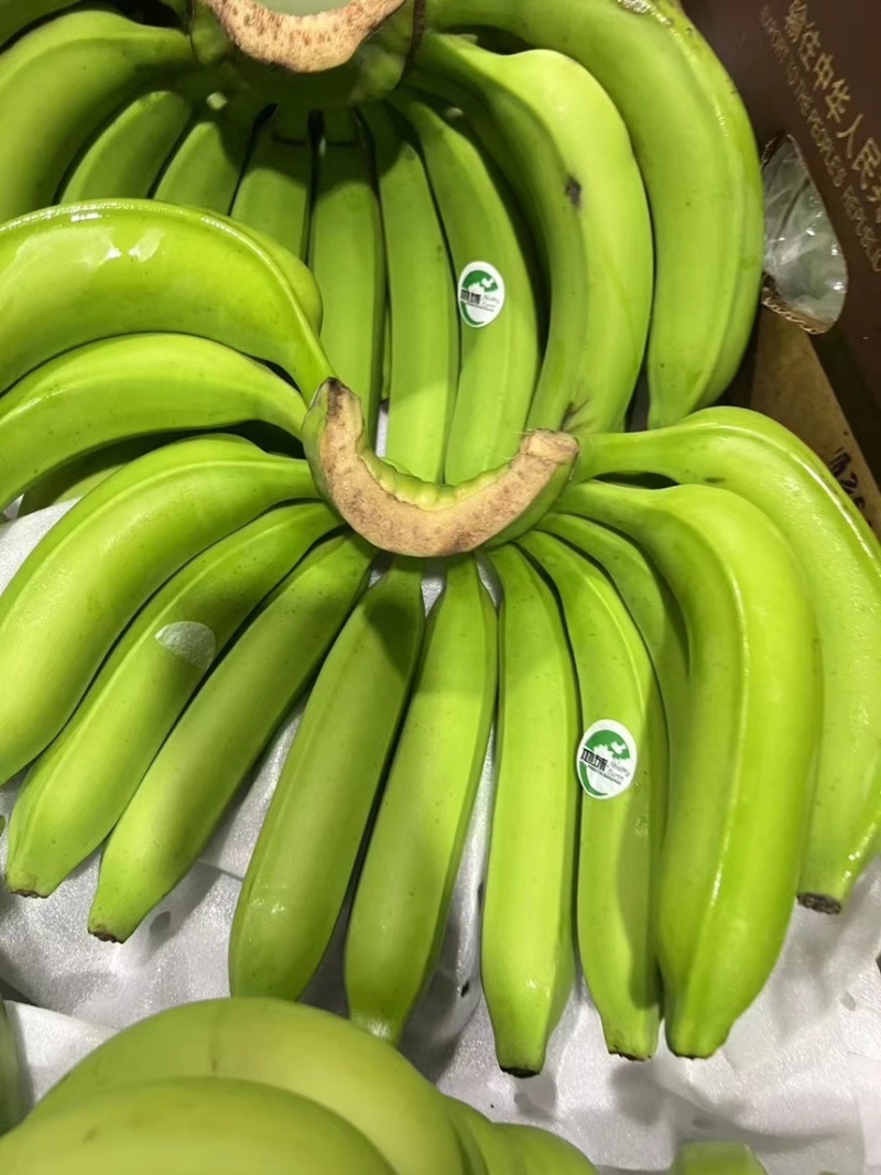 精品特价二级蕉，只做好品质，需要的老板抓紧联系