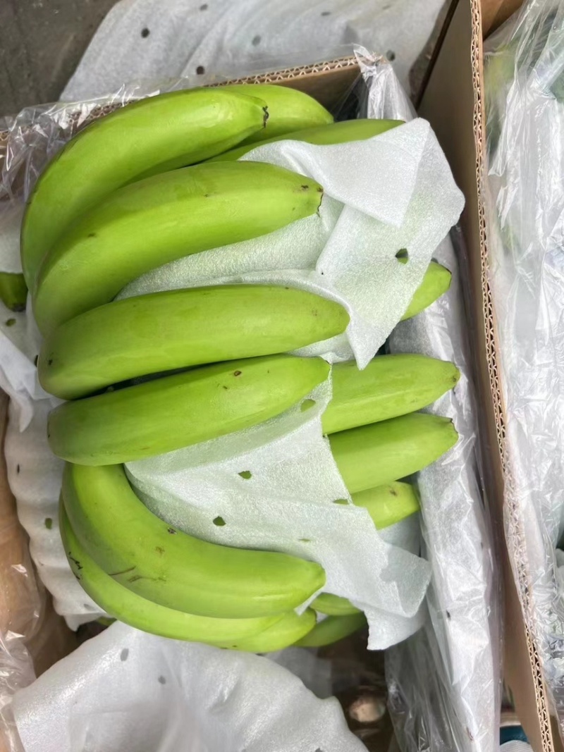 精品特价二级蕉，只做好品质，需要的老板抓紧联系