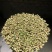横州茉莉花枝条代购正品