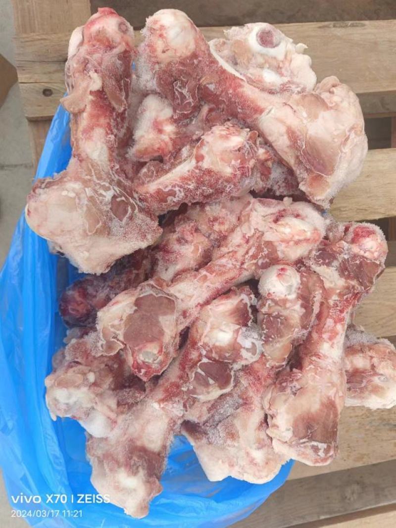 后棒骨