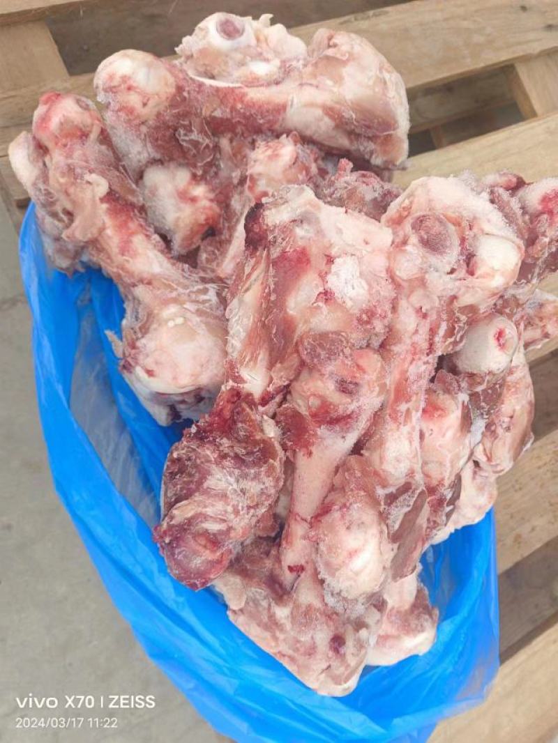 后棒骨