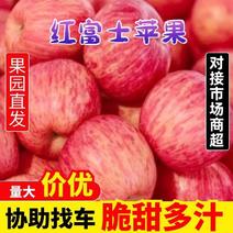 红富士条纹苹果/产地批发/口感脆甜/保质保量/全国
