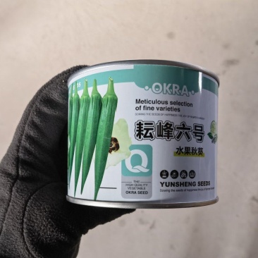 纯进口杂交水果秋葵耘峰六号