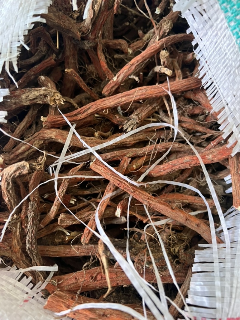 丹参苗载30吨大统货未抽条苗载药厂货20吨