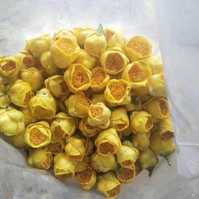 广西金花茶货量充足批发零售均可无农药无残留欢迎咨询