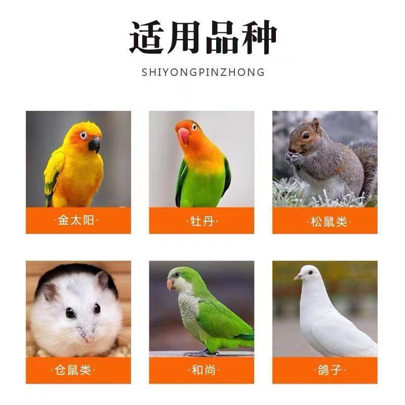 红花子红花籽玄风鹦鹉鸟粮鸟食白瓜子仓鼠粮玄风鸟食鸽子粮食