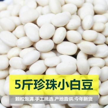 珍珠小白豆5斤云南农家自种小白芸豆白豆炖菜煲汤豆类杂粮粗