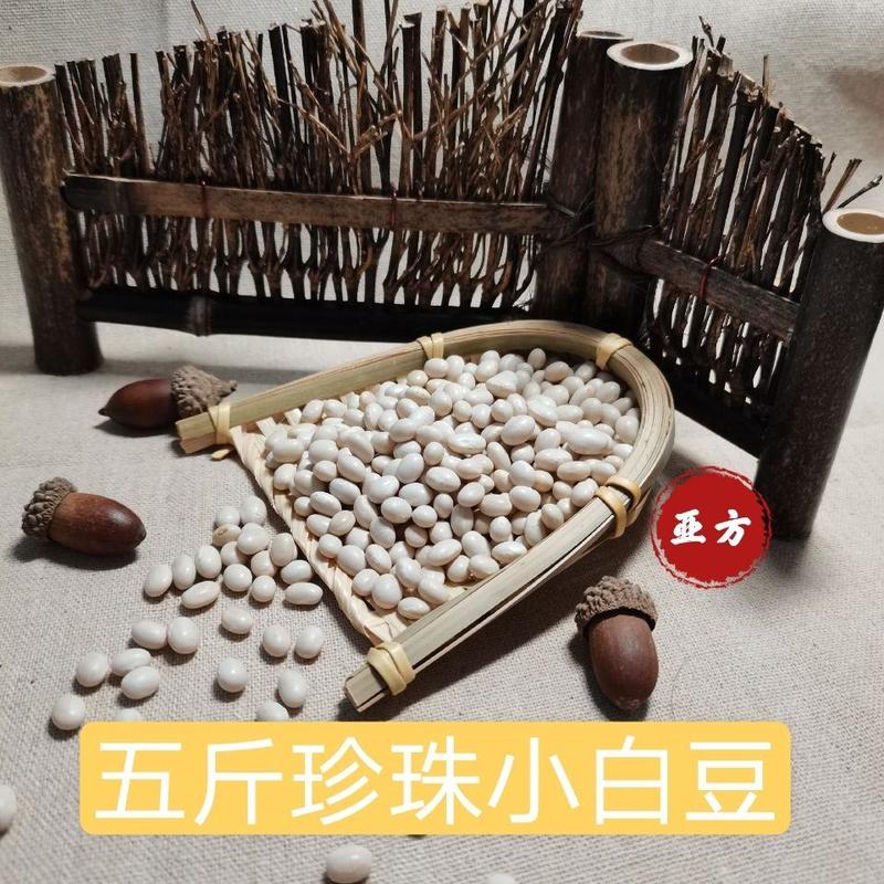 珍珠小白豆5斤云南农家自种小白芸豆白豆炖菜煲汤豆类杂粮粗