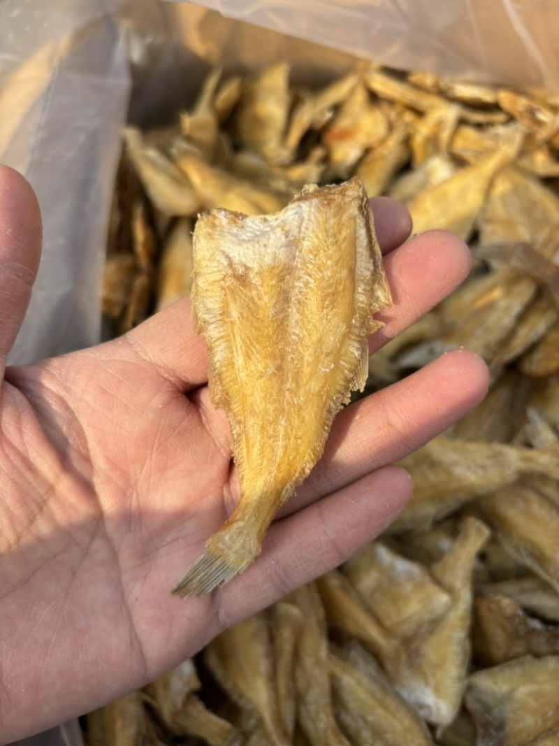 偏口鱼酥比目鱼酥休闲小零食、常年有货、大量有货
