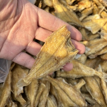 偏口鱼酥比目鱼酥休闲小零食、常年有货、大量有货