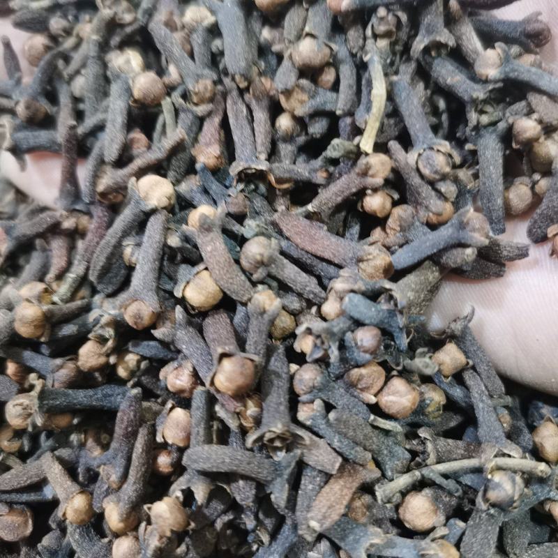 丁香公丁香香料大全批发零售各种中药材