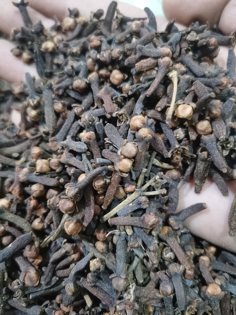 丁香公丁香香料大全批发零售各种中药材