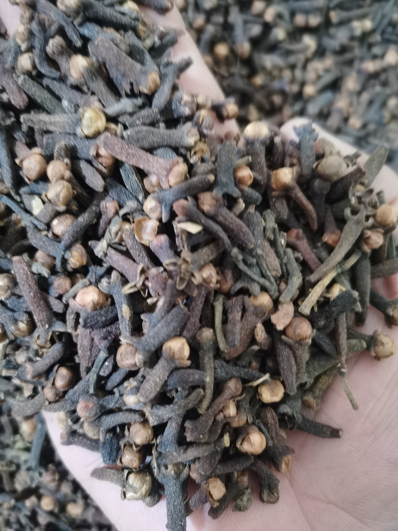 丁香公丁香香料大全批发零售各种中药材