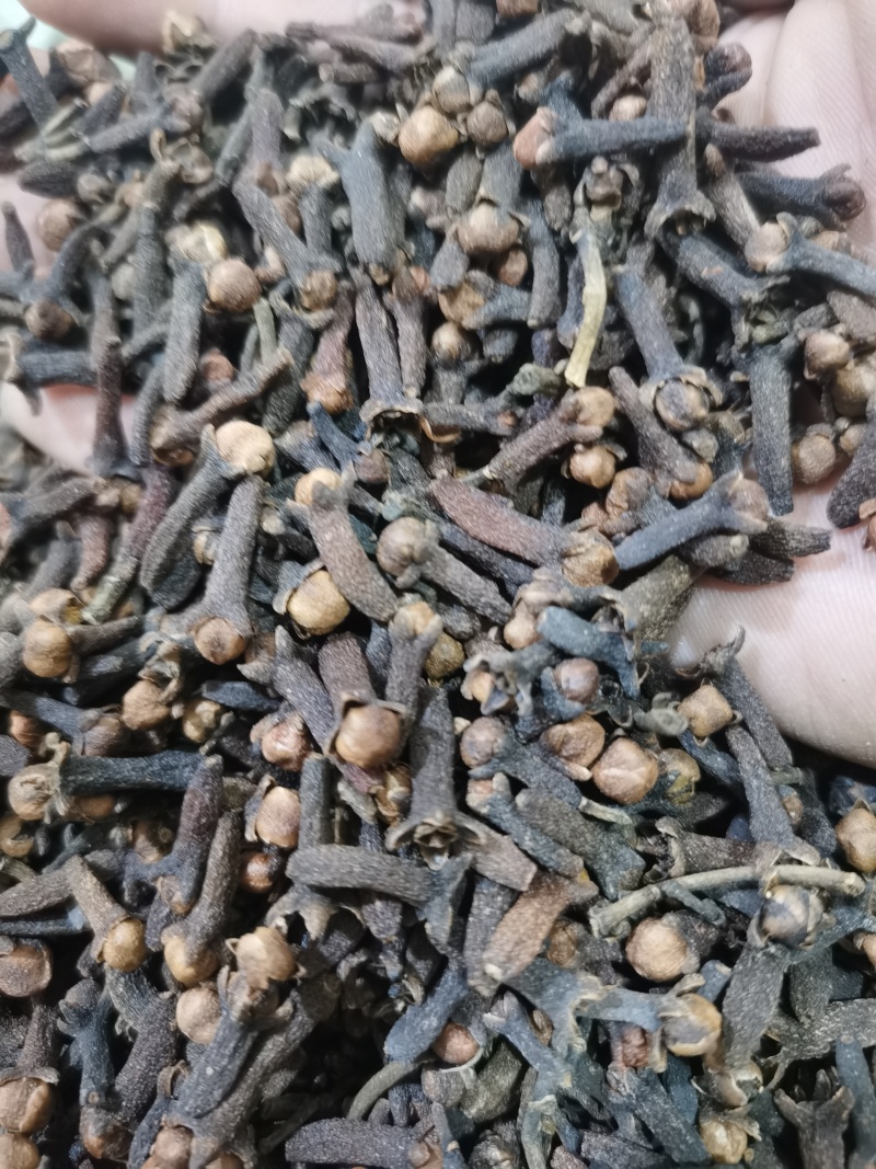 丁香公丁香香料大全批发零售各种中药材