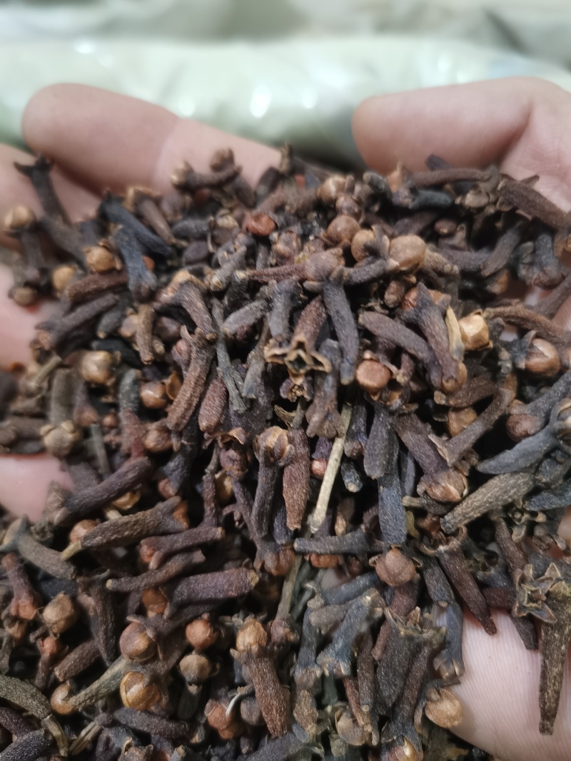 丁香公丁香香料大全批发零售各种中药材