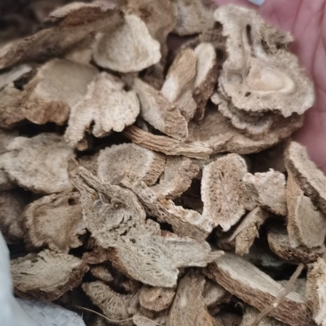 木香无硫木香大统货泽润中药批发零售各种中药材