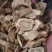 木香无硫木香大统货泽润中药批发零售各种中药材