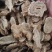 木香无硫木香大统货泽润中药批发零售各种中药材