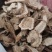 木香无硫木香大统货泽润中药批发零售各种中药材