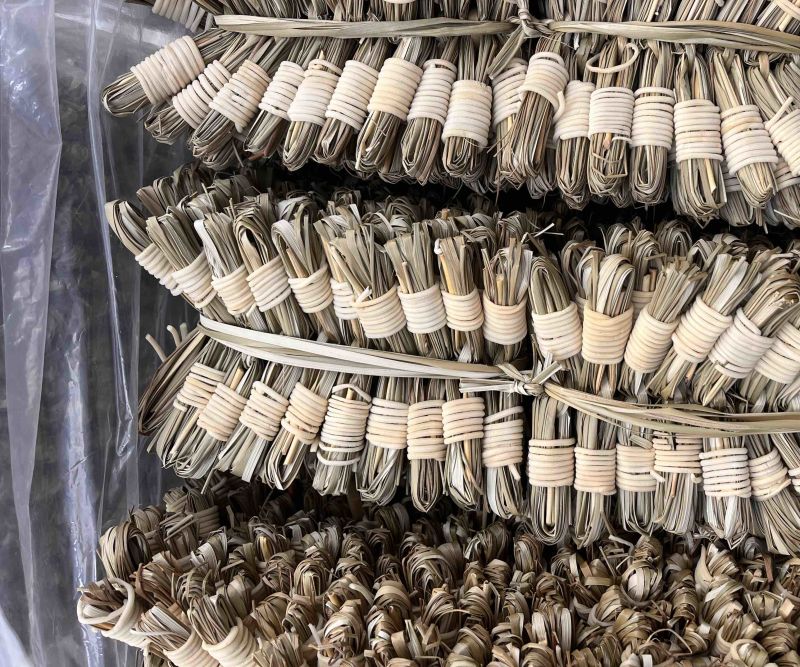灯心草扎好灯心草一扎一扎卖