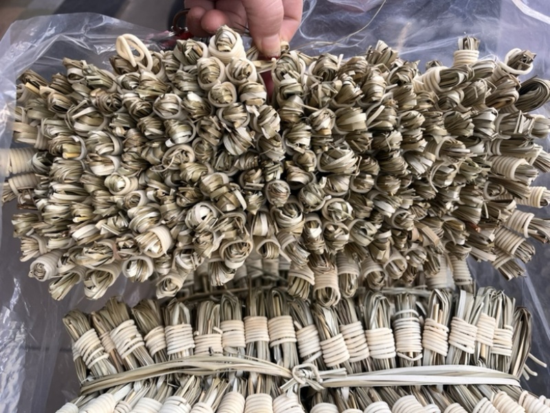 灯心草扎好灯心草一扎一扎卖