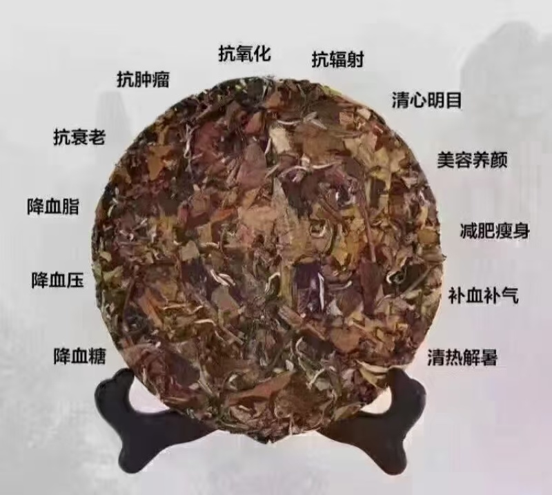 云南大叶种古树白茶