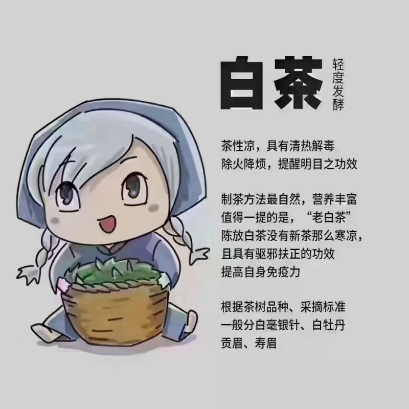 云南大叶种古树白茶