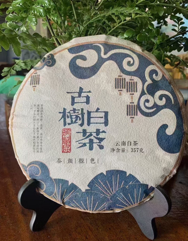 云南大叶种古树白茶