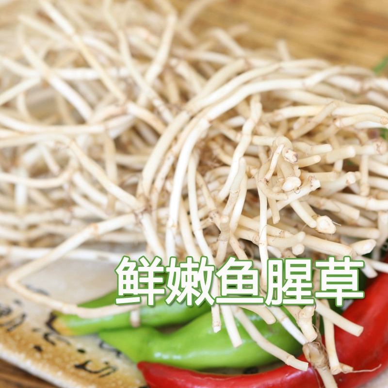 鱼腥草节节根鱼腥草根看货论价电商货市场货
