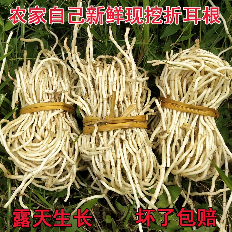 鱼腥草节节根鱼腥草根看货论价电商货市场货