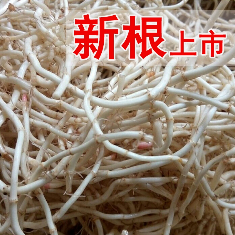 鱼腥草节节根鱼腥草根看货论价电商货市场货