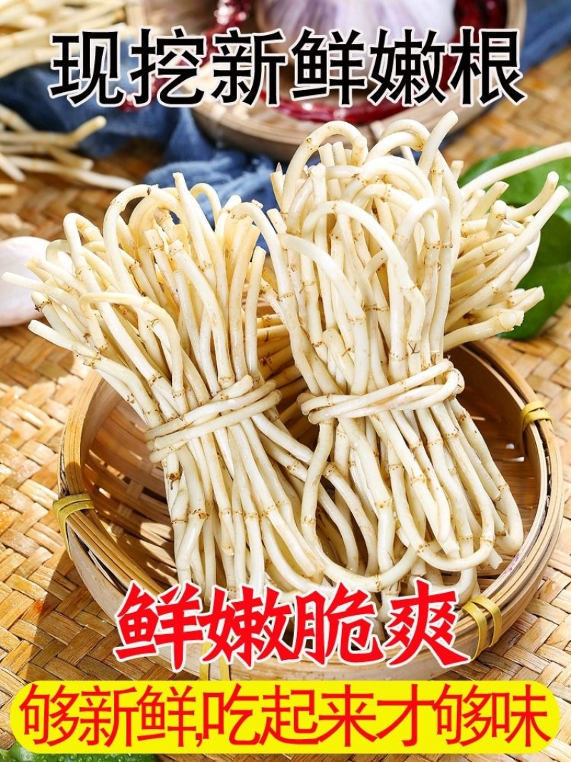 鱼腥草节节根鱼腥草根看货论价电商货市场货